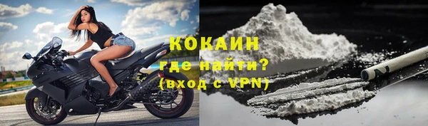 индика Белоозёрский
